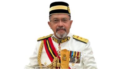 Datuk Abdul Aziz Image